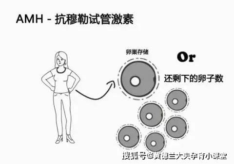 【医问答】AMH值低还能怀孕吗？AMH值和年龄有什么关系？ 第2张