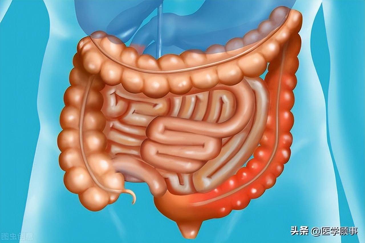 小肠是人体中最长的消化管道,成人的小肠可达4-7米,九曲十八弯说的就