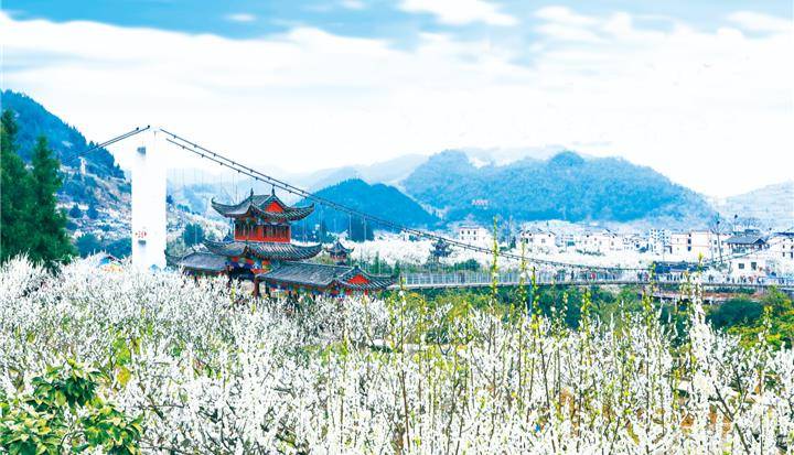 贵州·沿河第十二届李花节3月18日开幕_接待中心_南庄_景区