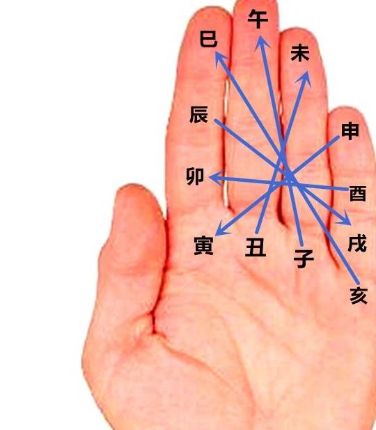 子午冲,子水冲午火,子为本位,丑开始起数,丑1,寅2,卯3,辰4,巳5,午6丑