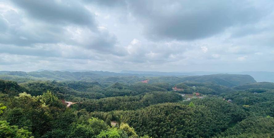 泸州白节大旺竹海图片