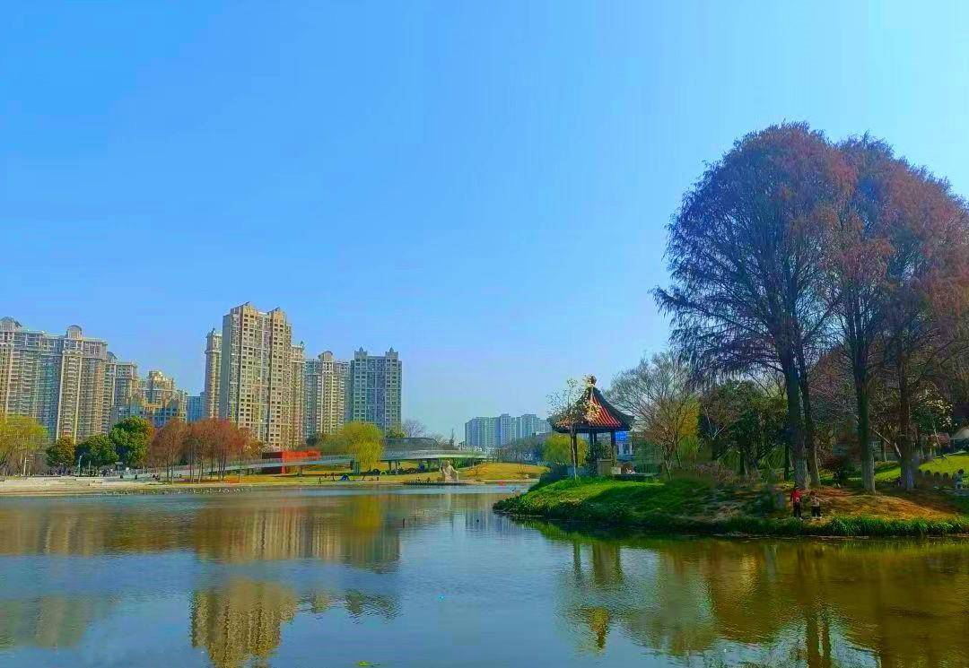 无锡又一公园走红,比鼋头渚人少,不要门票适合遛娃拍照赏樱花!