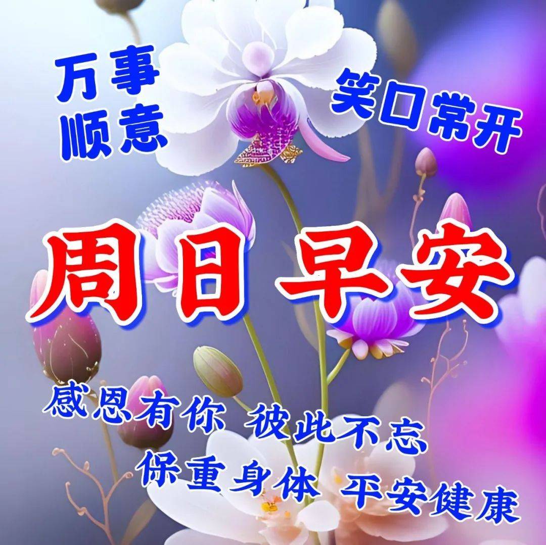 星期日的图片大全带字图片