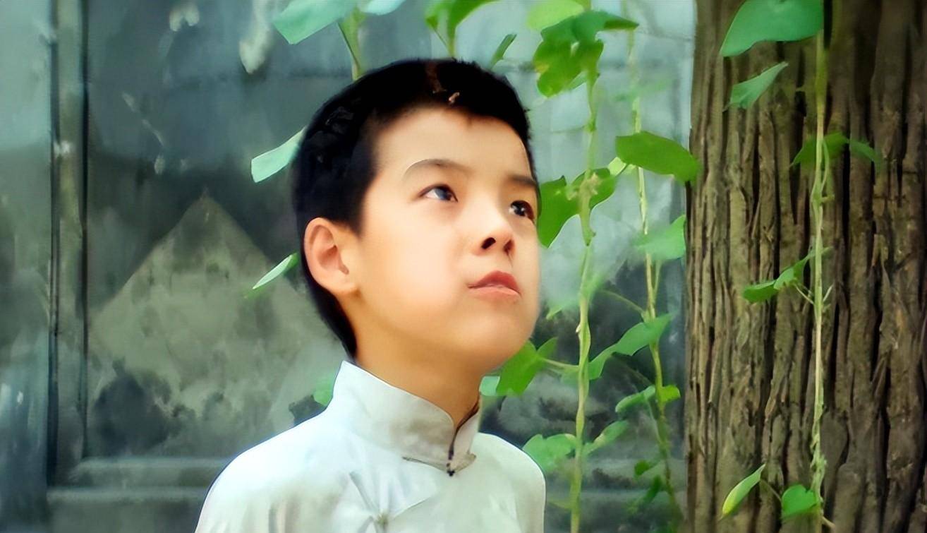 反派专业户海一天:两段婚姻,最幸福时刻是刘帅为他生下女儿