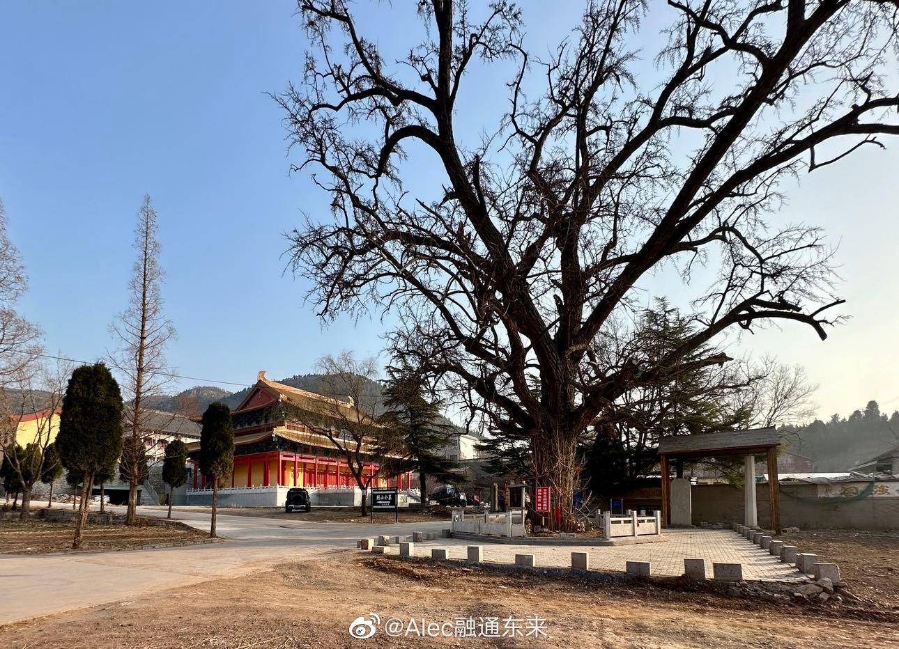 山东淄博沂源普安禅寺_寺院_大雄宝殿_造像