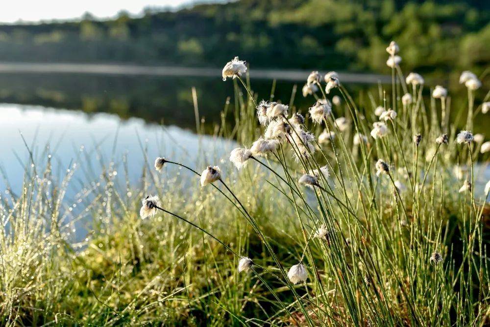 捏造董明珠私生活，自媒体大V登报道歉并忏悔警示了谁？-家电圈官网