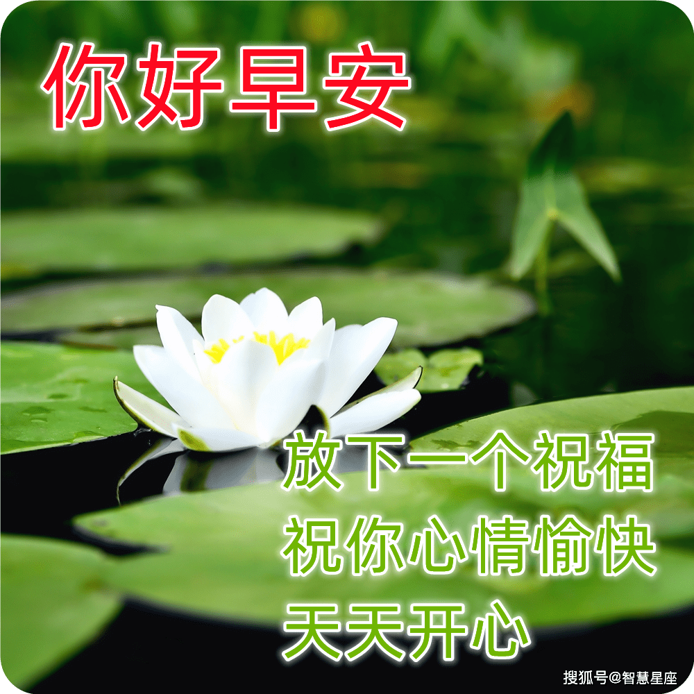 3月23日全新版特漂亮的早上好问候图片 微信清晨问候大家的早安祝福语