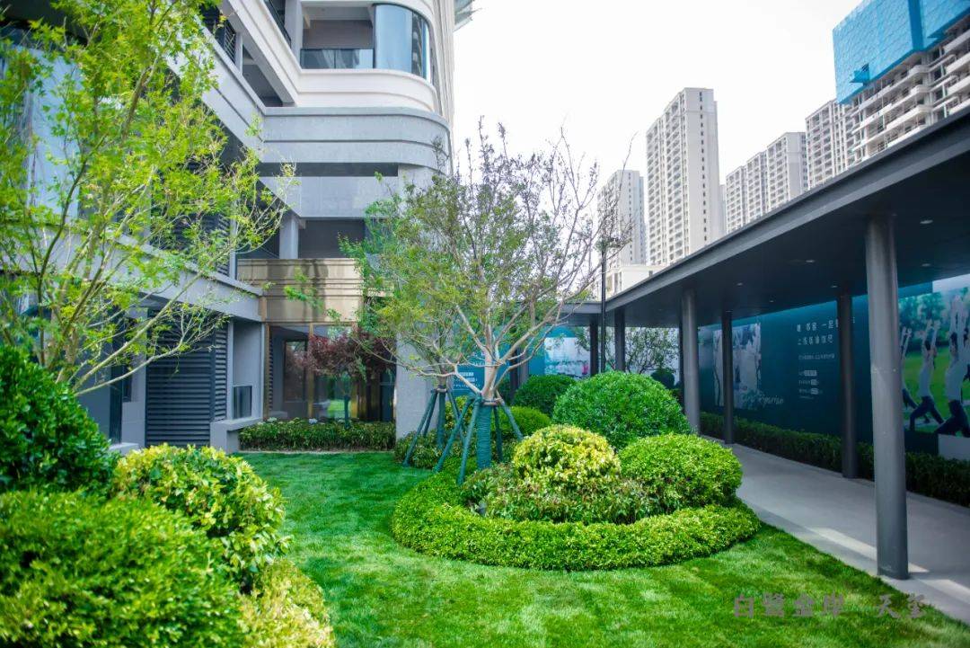 白鹭金岸·天玺|绿色诗意园境,雅叙春日漫时光_生活_园区_自然