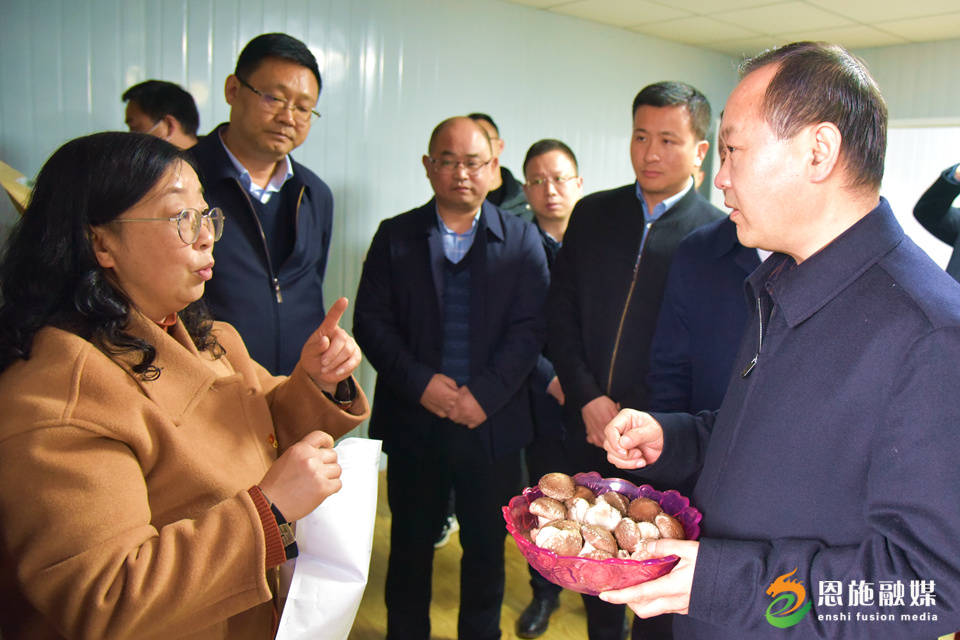 恩施市委书记苏勇到沙地乡,崔家坝镇调研_建设_企业_发展