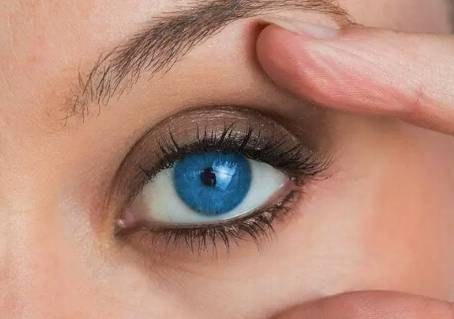 亮瞎我的钛合金狗眼,为什么狗的眼睛会"发光",人却不行_人类_能力