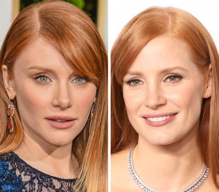 布莱丝·达拉斯·霍华德(bryce dallas howard) 和 杰西卡·查斯坦