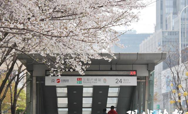 樱花公园地铁站图片