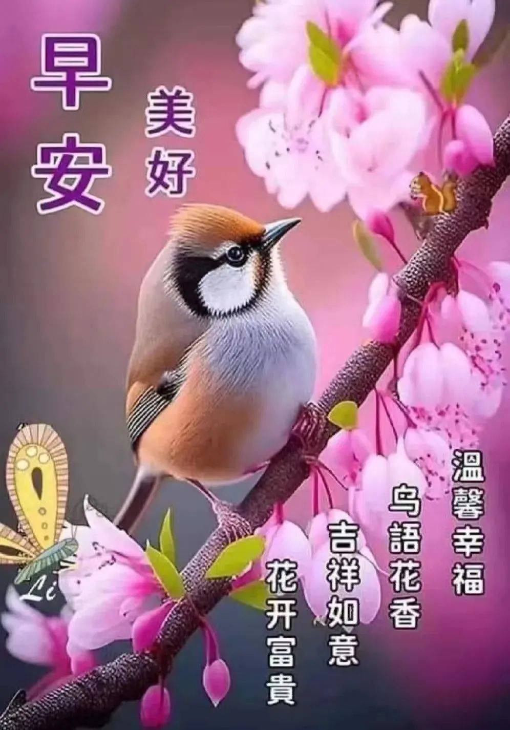 3月23日周四早安,创意早上好问候语图片暖心问候祝福语_生活_是一种