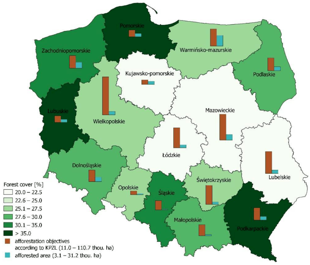 波兰森林覆盖率图片