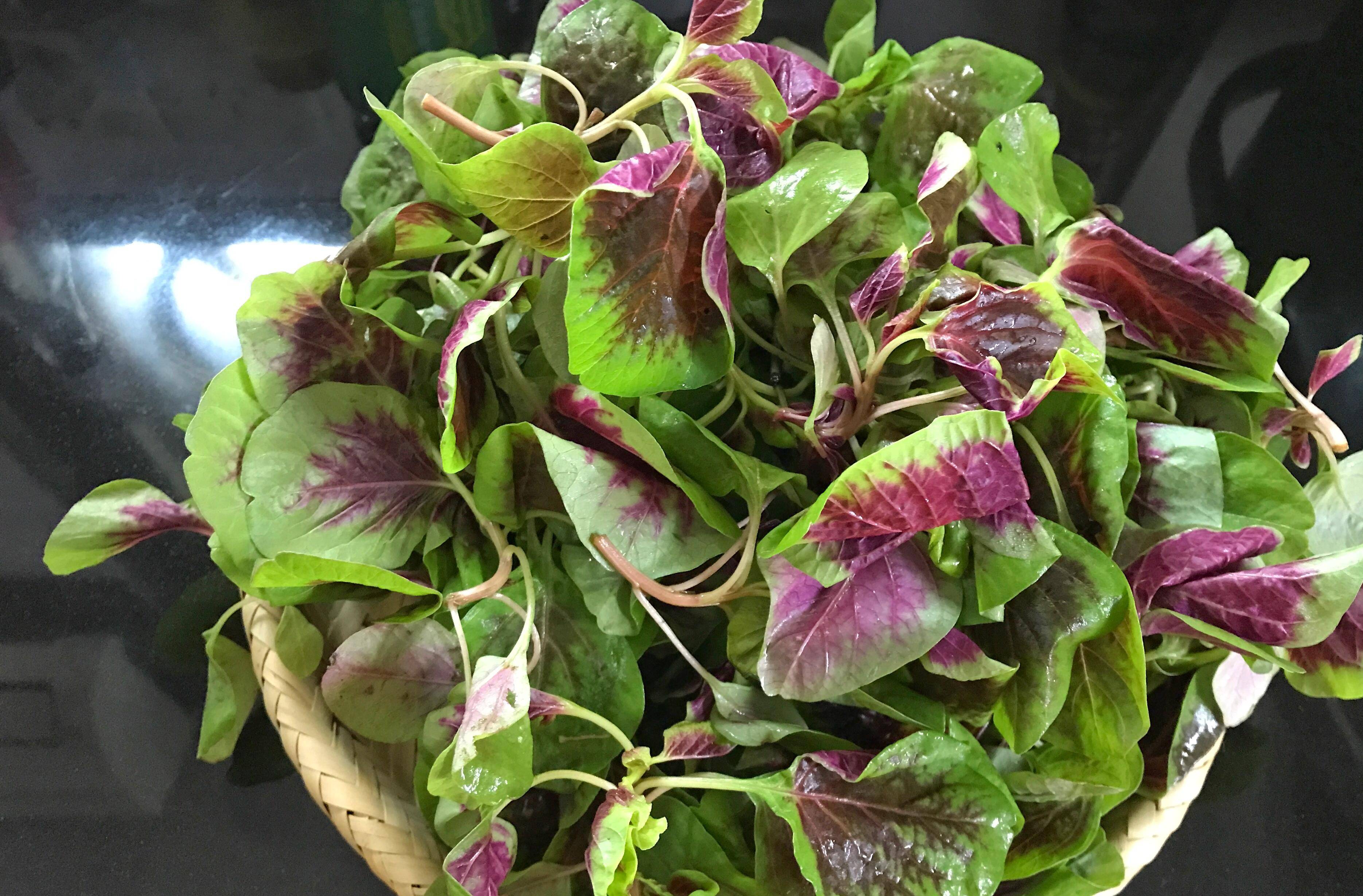 夏天出汗多,吃菠菜芹菜不如吃这菜,高钾高钙,天热也精神十足_苋菜