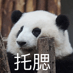 可爱熊猫花花表情包~_图片_公众_水印