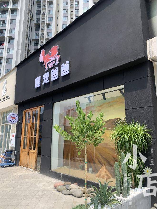 胆大的乐山人都去了这家爬宠店_宠物_教育_大部分