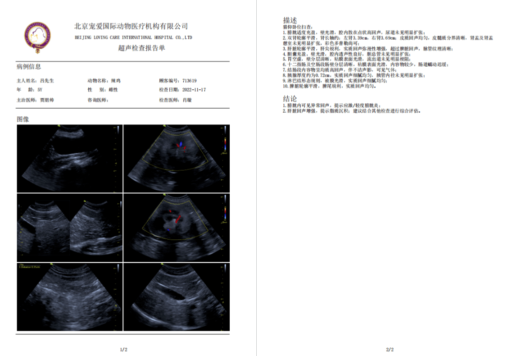 超声:彩超显示肝脏大量脂肪堆积生化:显示肝脏血液指标超标血常规:红