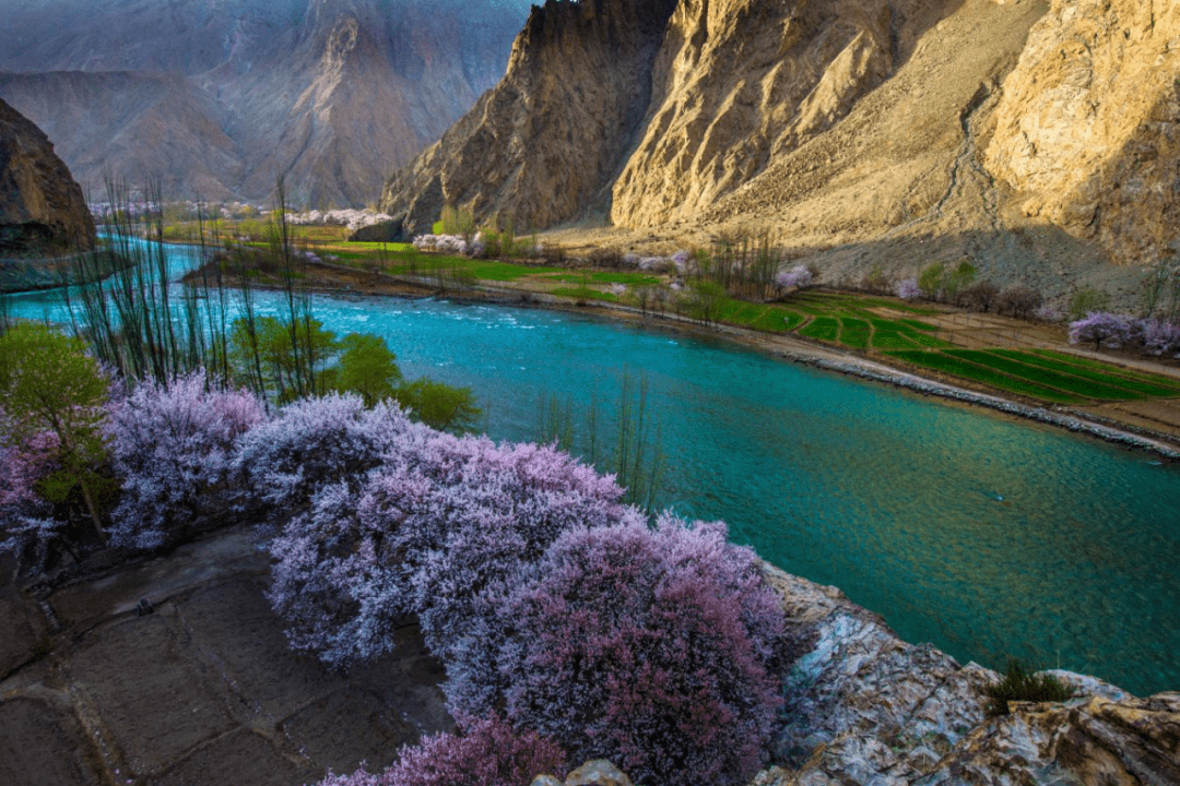 阿克陶县昆仑大峡谷第一届杏花节(塔尔乡分会场)将盛大开幕_活动_民族