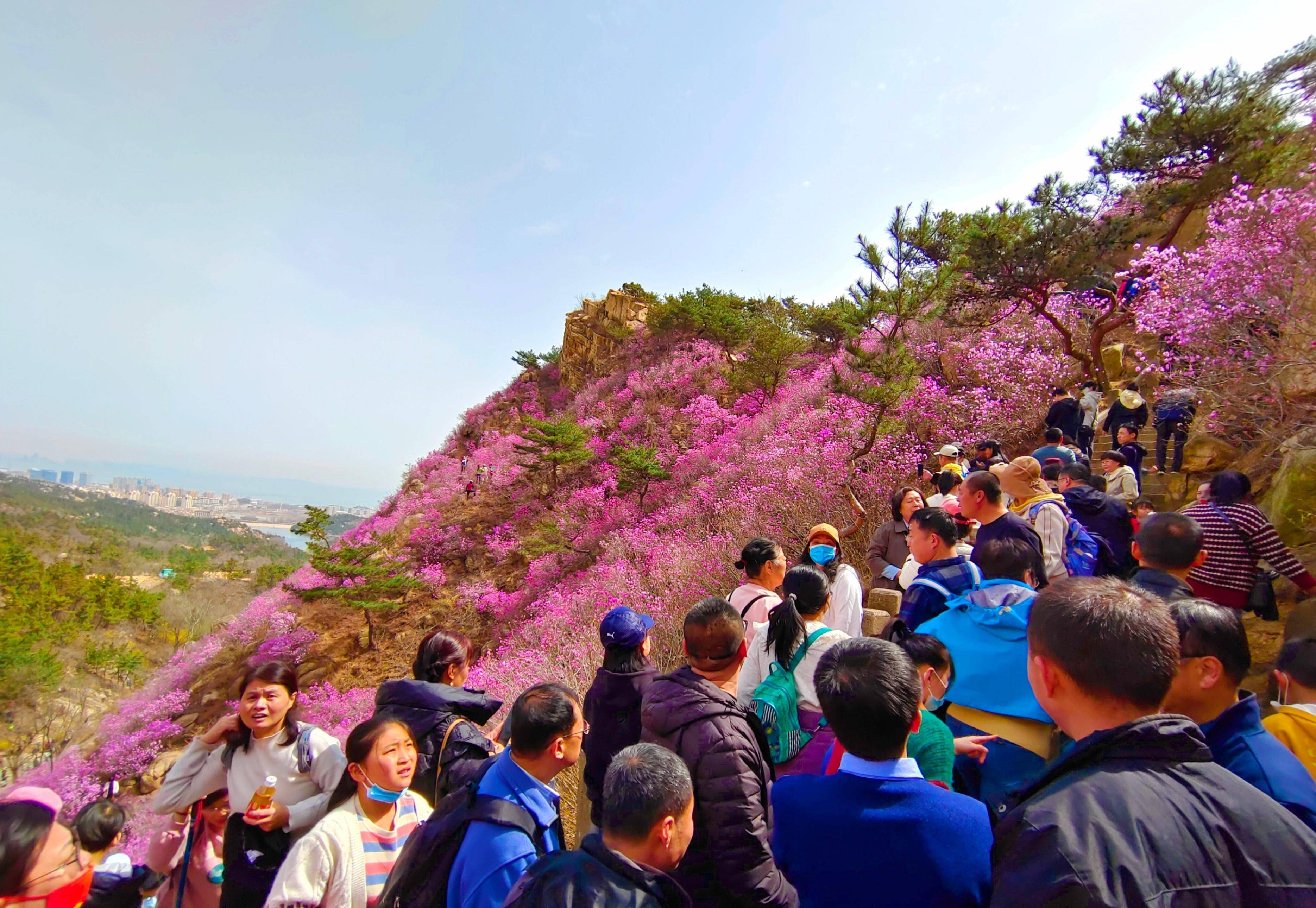 大珠山动物园门票图片