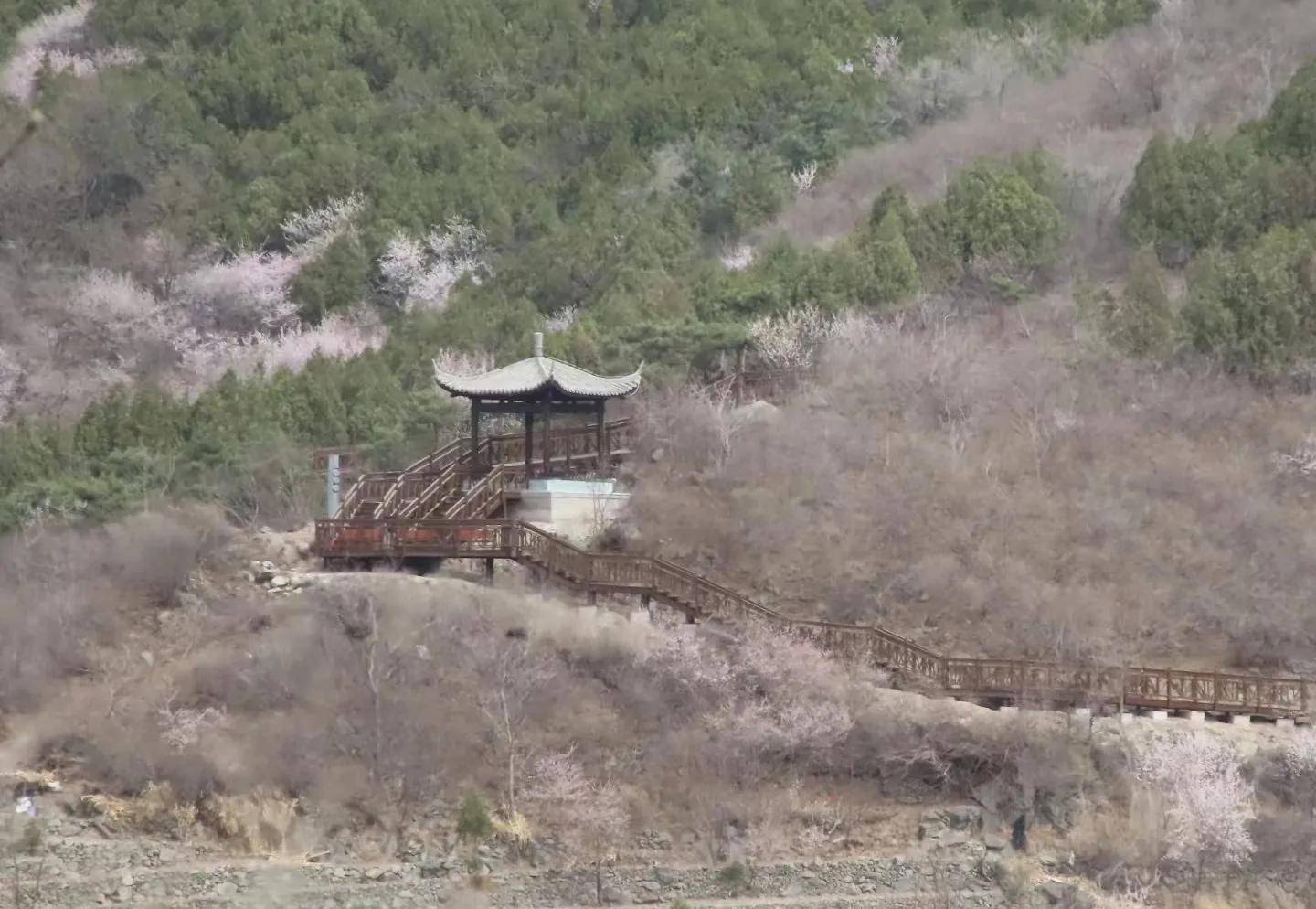 昌平这条新晋网红木栈道,其实还没完工_西峪村_山谷_桃花