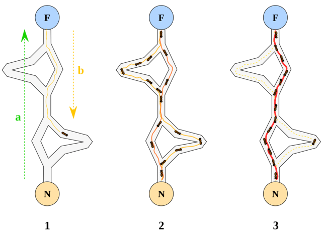 《失控:机器,社会系统与经济世界的新生物学》| "蚁群算法"_蚂蚁_传播