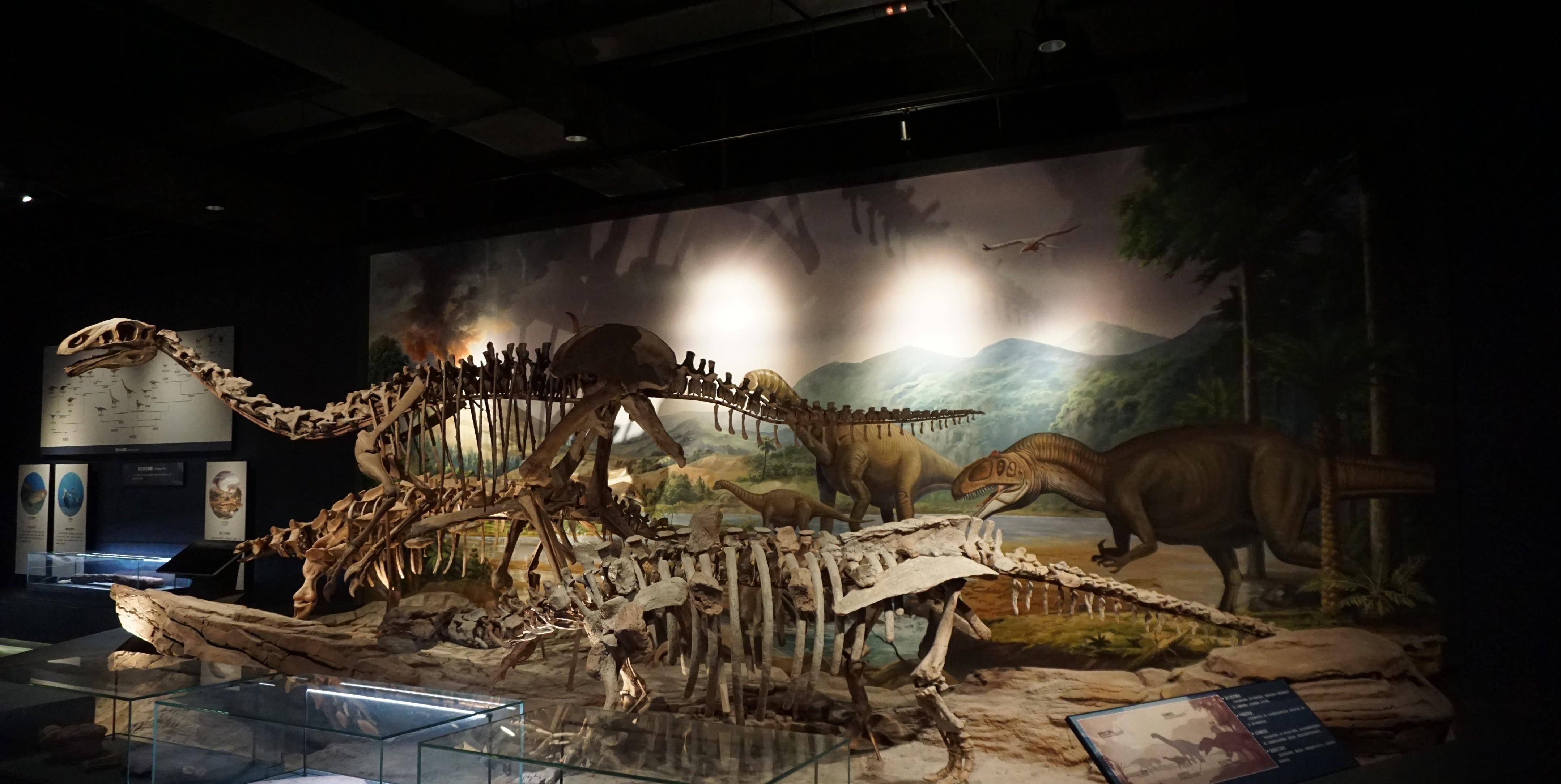 浙江省地质博物馆于世界地球日盛装开馆_科普_场景_杭州