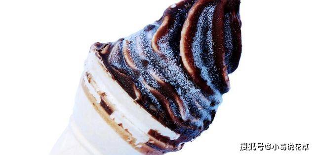 4种经典的童年雪糕,00后没见过,吃过的孩子都上幼儿园了_味道_火炬