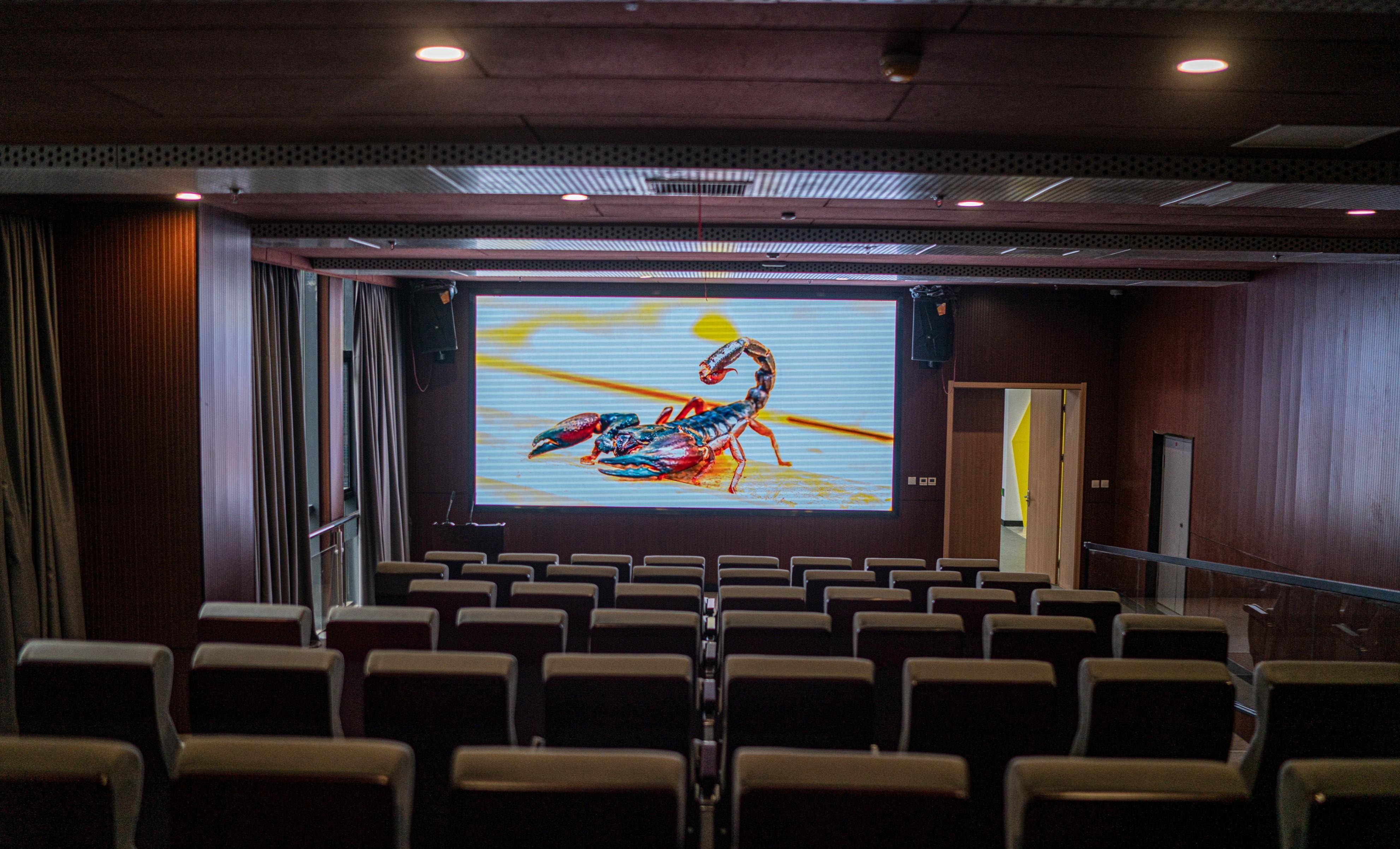 浙江省地质博物馆于世界地球日盛装开馆_科普_场景_杭州