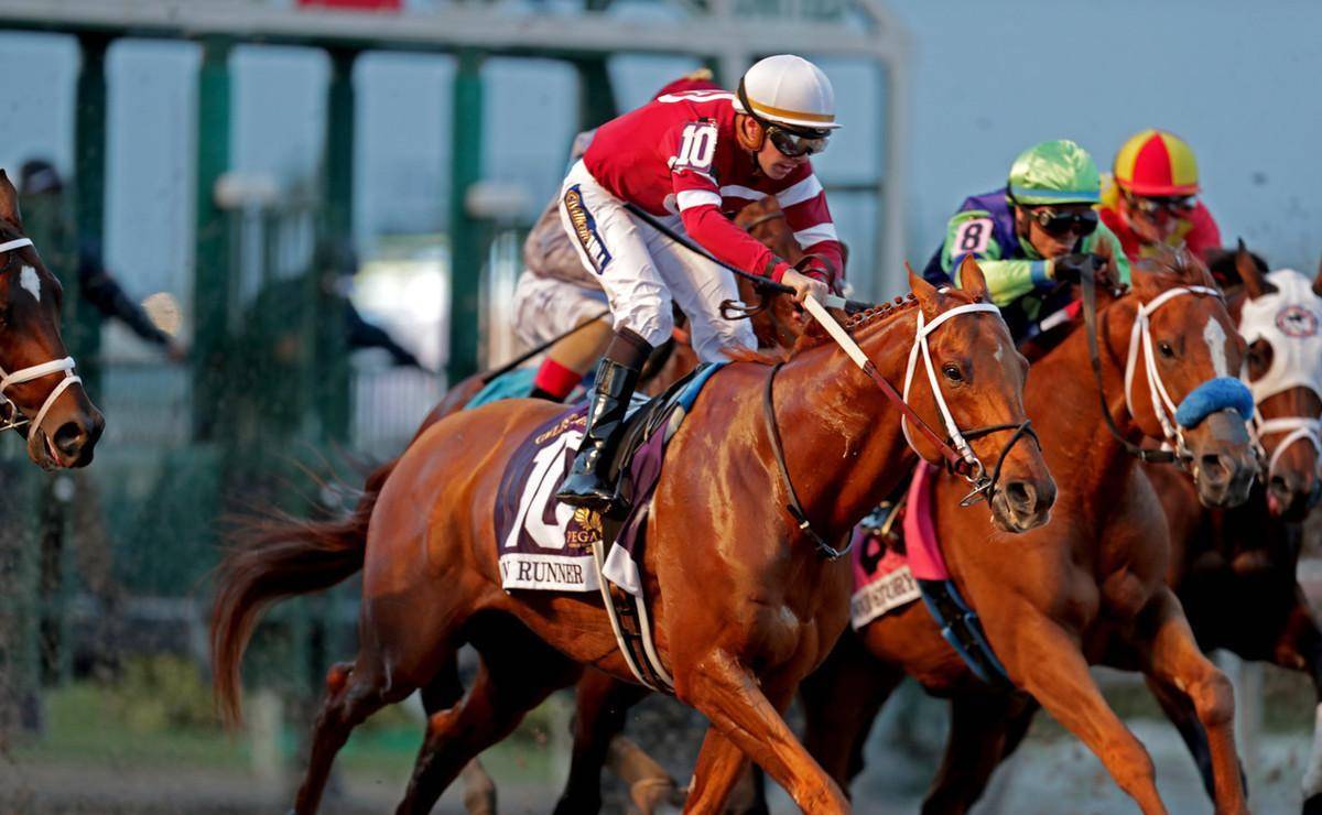 大家引以为傲的蒙古马,伊犁马,在短途赛上干不过纯血马_途程_香港