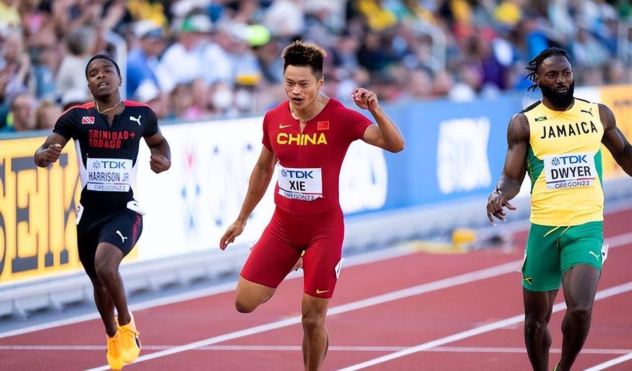 chatgpt评中国体育界名人前十!苏炳添意外落选!_谢震_奥运会_个人