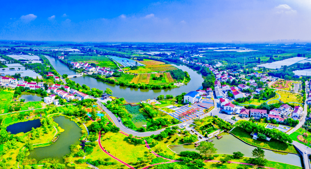 盘城街道:打造"甜蜜产业",擘画乡村振兴发展新篇章