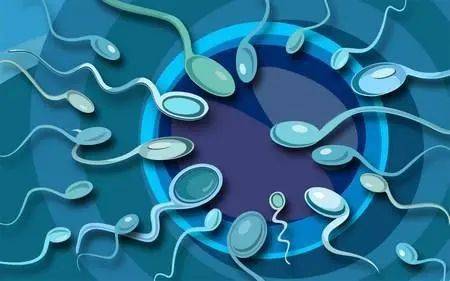 男性生殖健康不止是精子那点儿事儿
                
                 