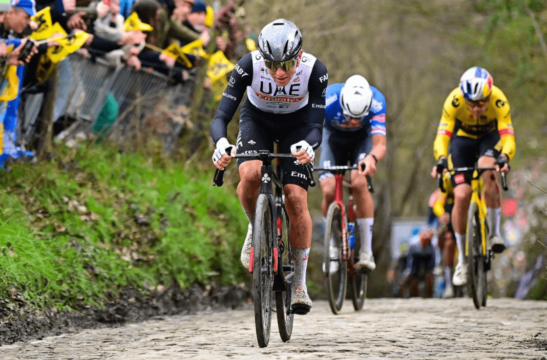 pro战车 波加查的环弗兰德斯冠军战车_比赛_车把_前后轮