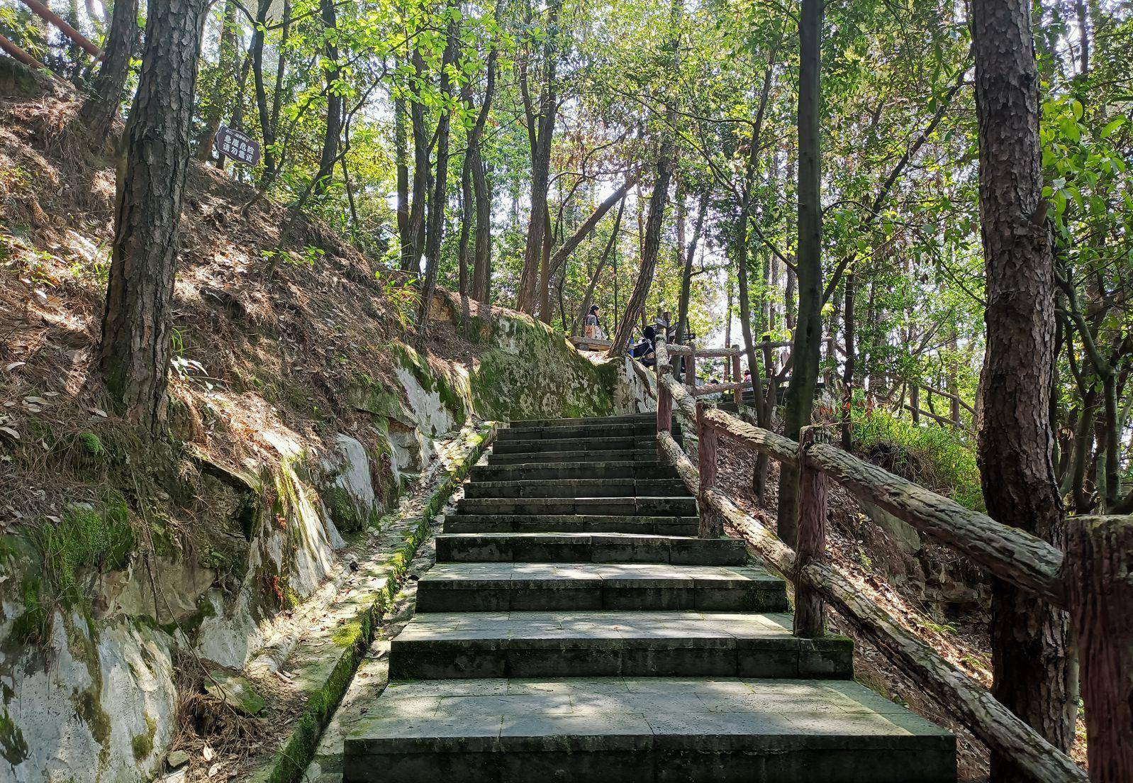 铁山坪登山步道图片