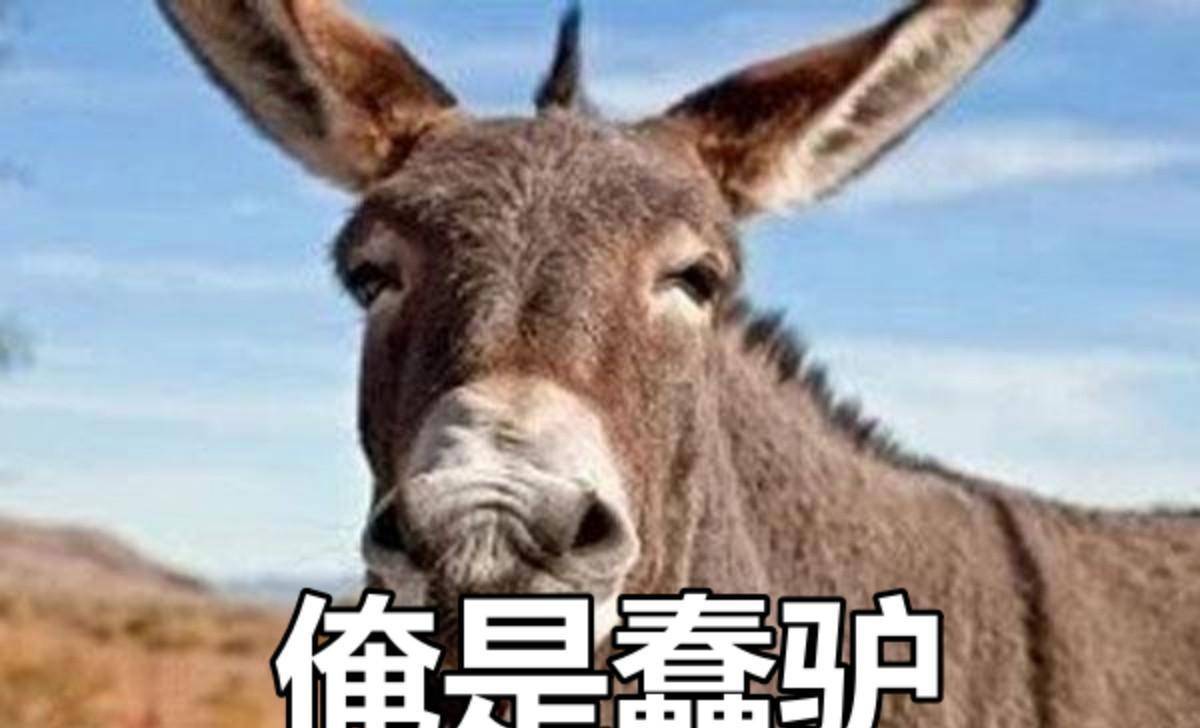 从大连船厂图到蠢驴名言:媚外女频被钓鱼 却炫耀智商高不会上当_华人_