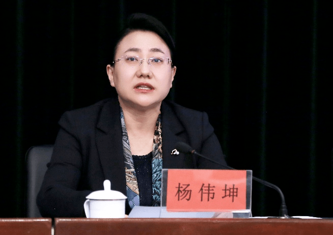 保定市人民政府副市长杨伟坤介绍了保定市职业教育发展概况和合作需求