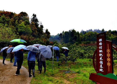 安徽太湖：发挥本土专家特长，助力乡村振兴