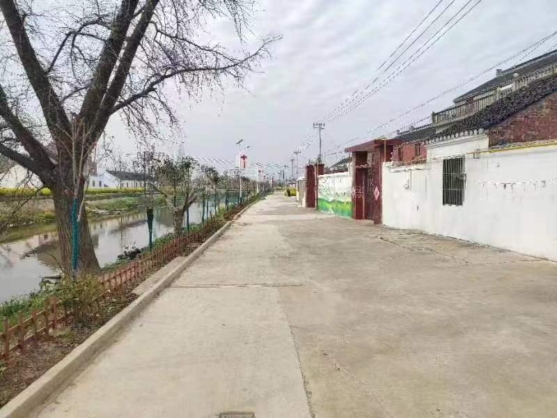 泰兴市河失镇刘桥村:打造绿色荡漾的宜居村_引水_河道_叶鹏