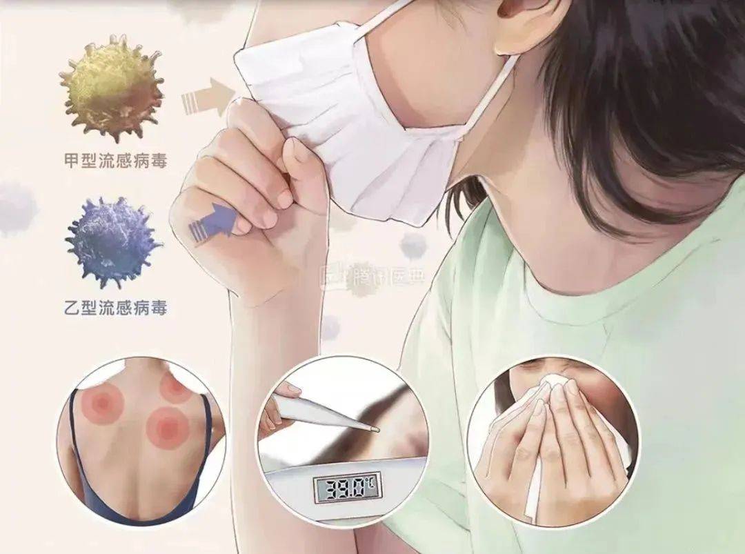 陈皮养生：甲流来袭，巧用陈皮，让健康更有保障！（甲壳功效）