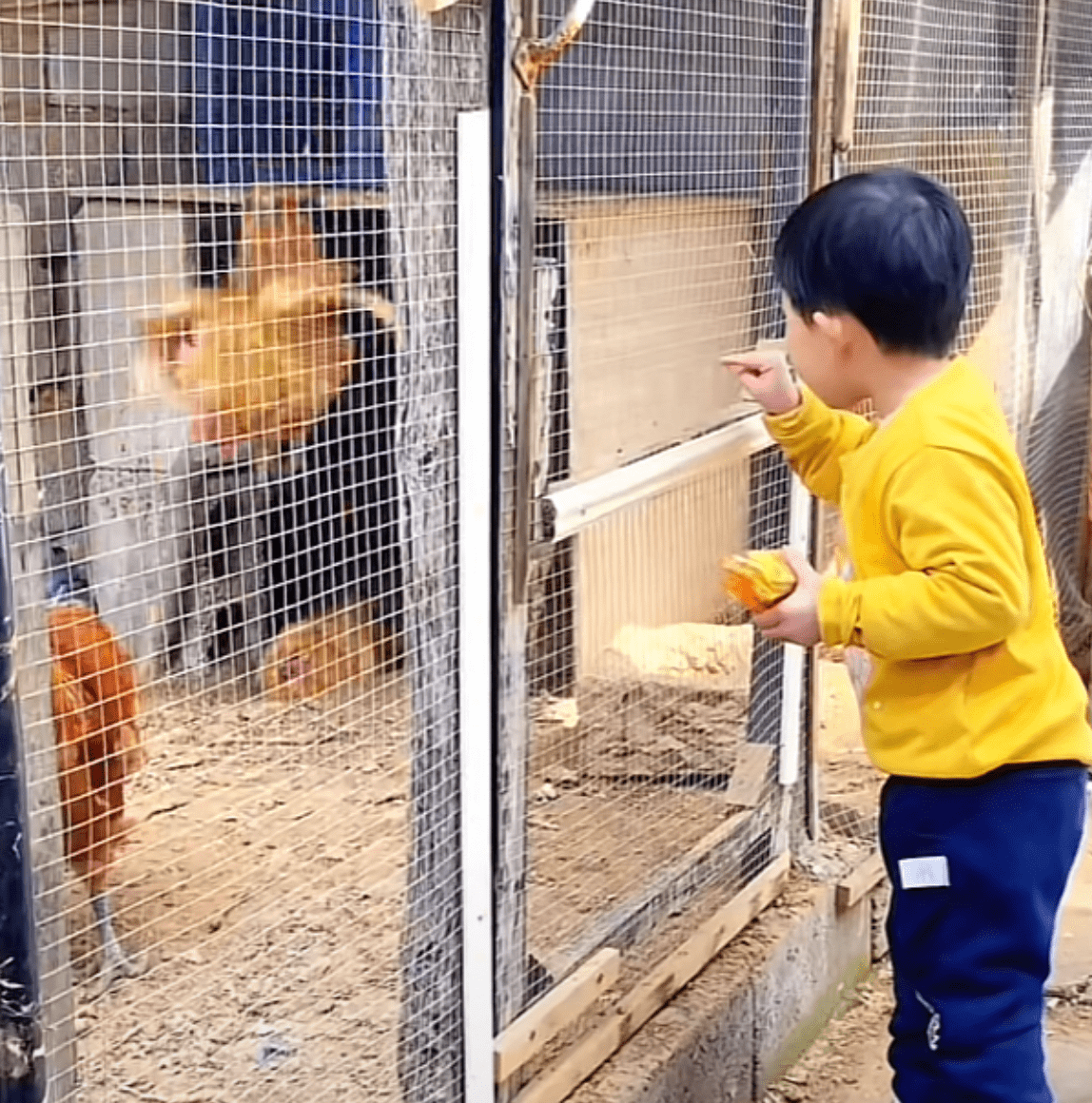 3岁小天赐近况曝光!