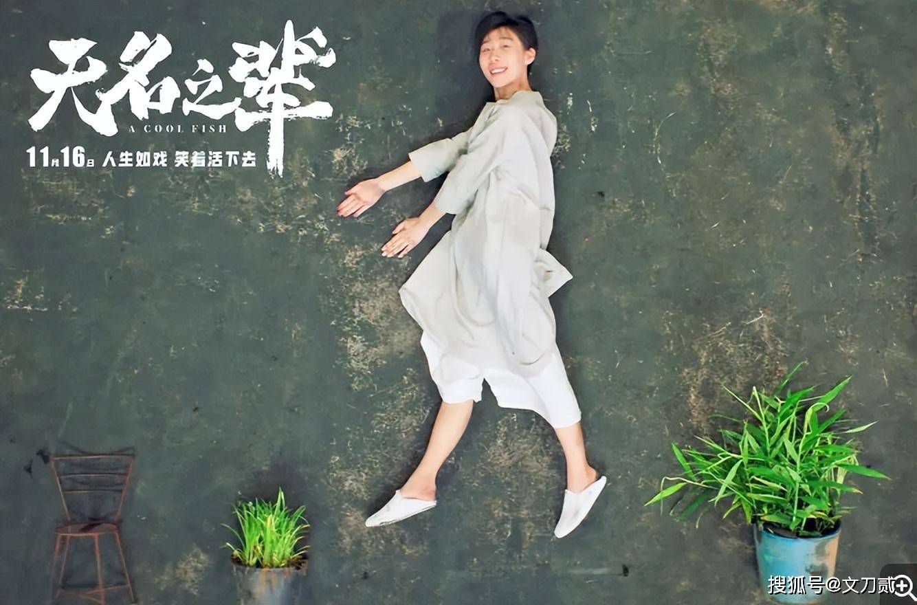 莱州月季花（莱州月季花节时间2021） 第9张