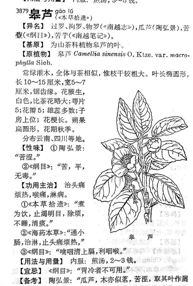 云南普洱茶是"瓜芦"?