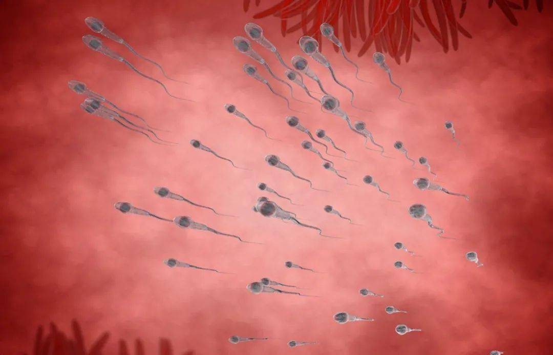 小蝌蚪颜色异常不要慌!发黄,发红,发绿是什么情况!