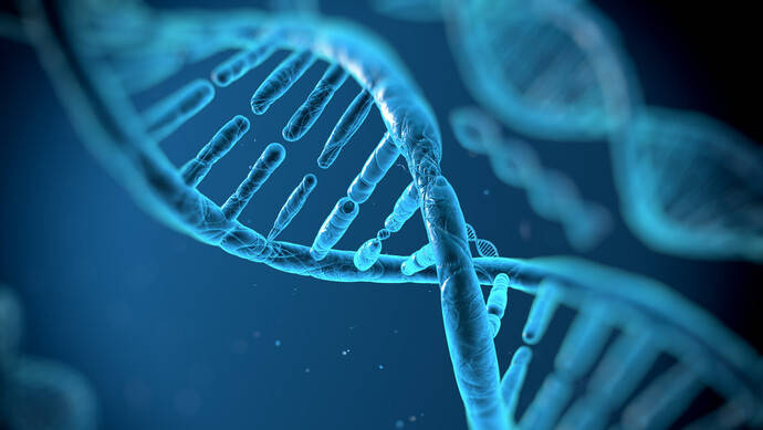 生物学上第一次！科学家发现首个有两套DNA的动物