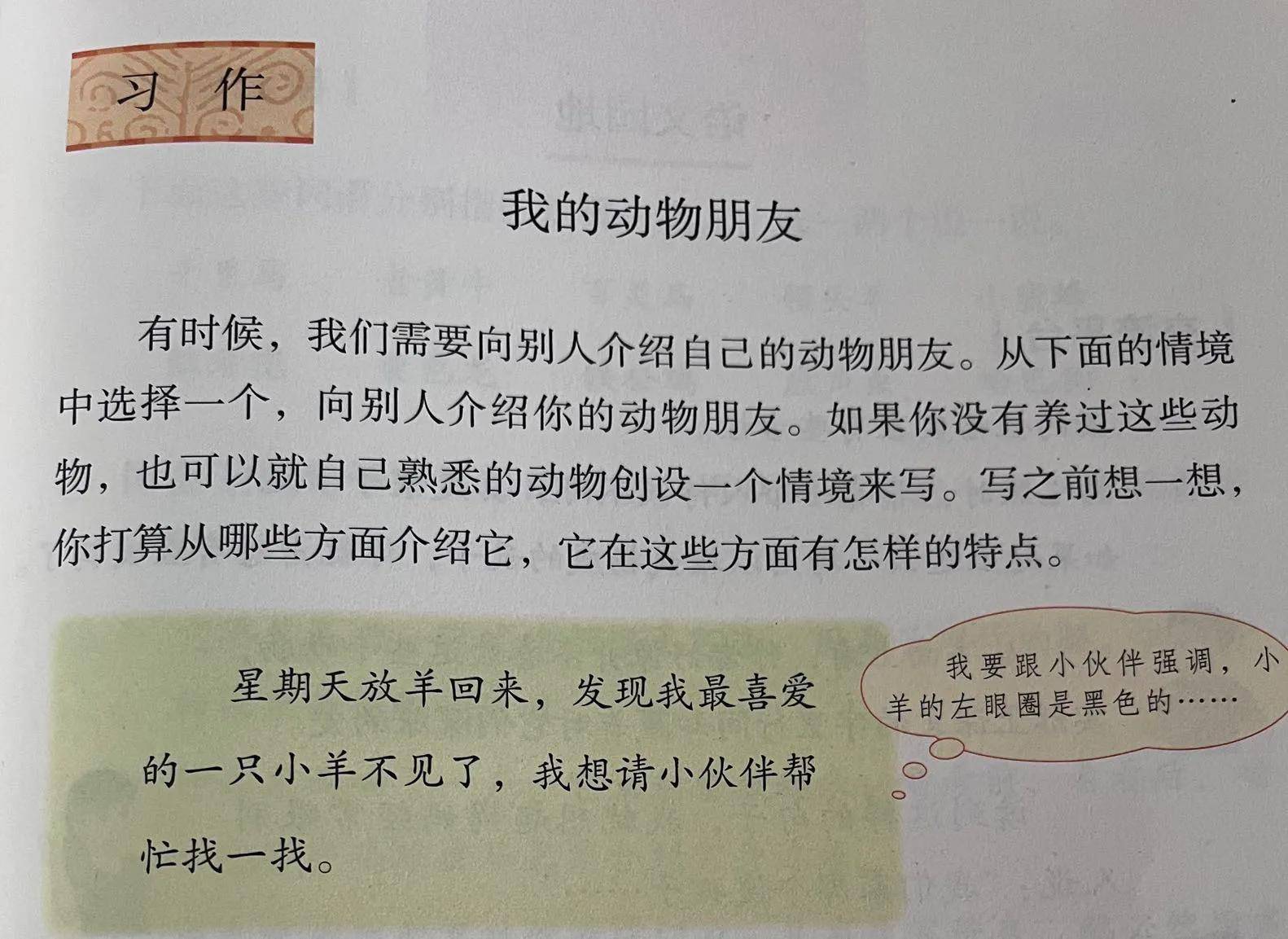 不要告诉别人（4年级我的奇思妙想作文）4年级我的奇思妙想作文150字 第1张