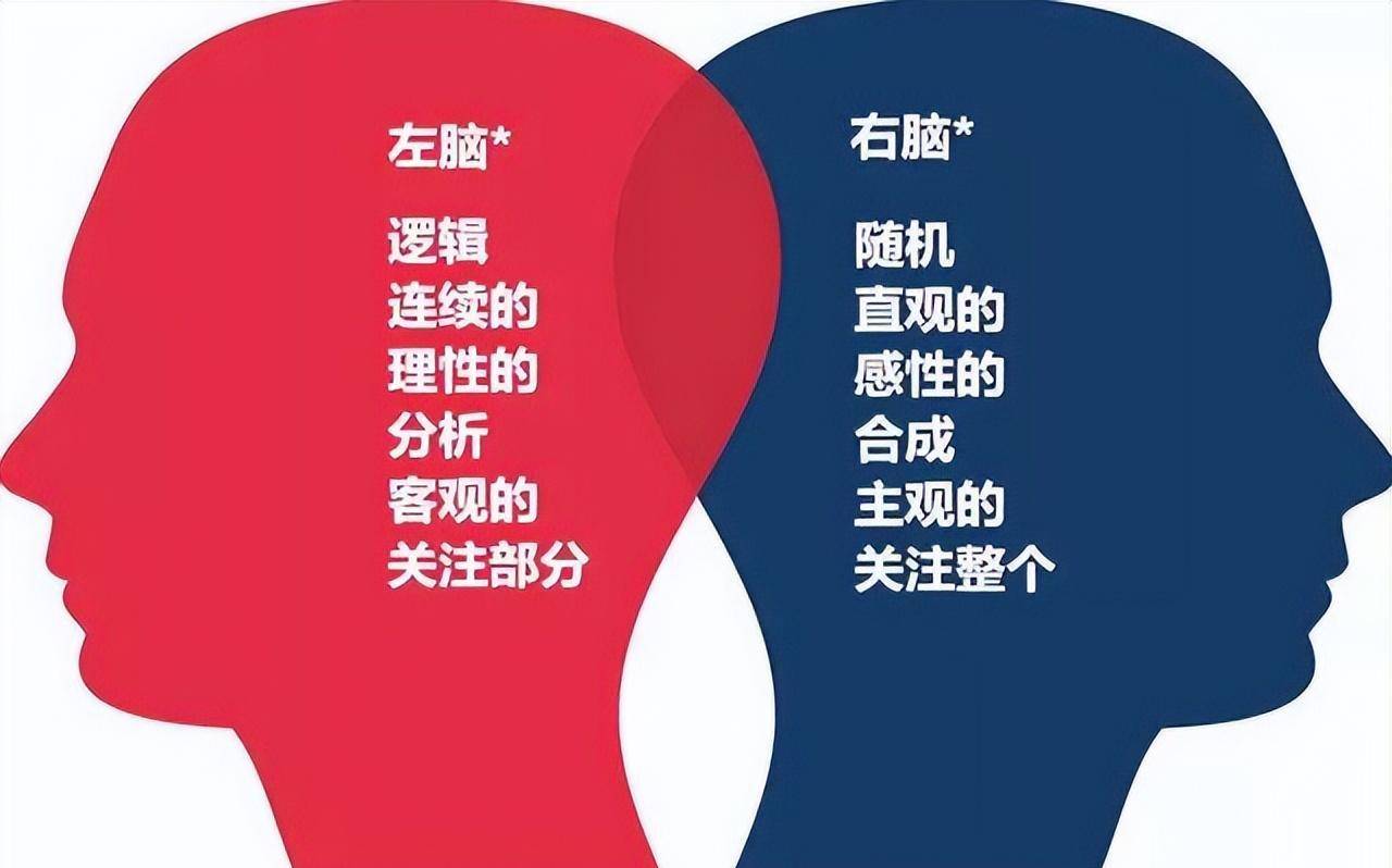 思维_理性_父母