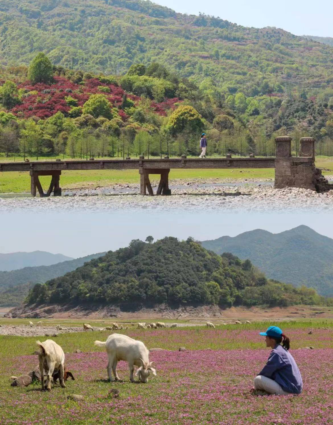 奉化亭下湖岙底村图片