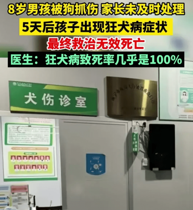 痛心！男孩被狗抓伤患狂犬病20天后死亡,被抓伤千万不要心存侥幸