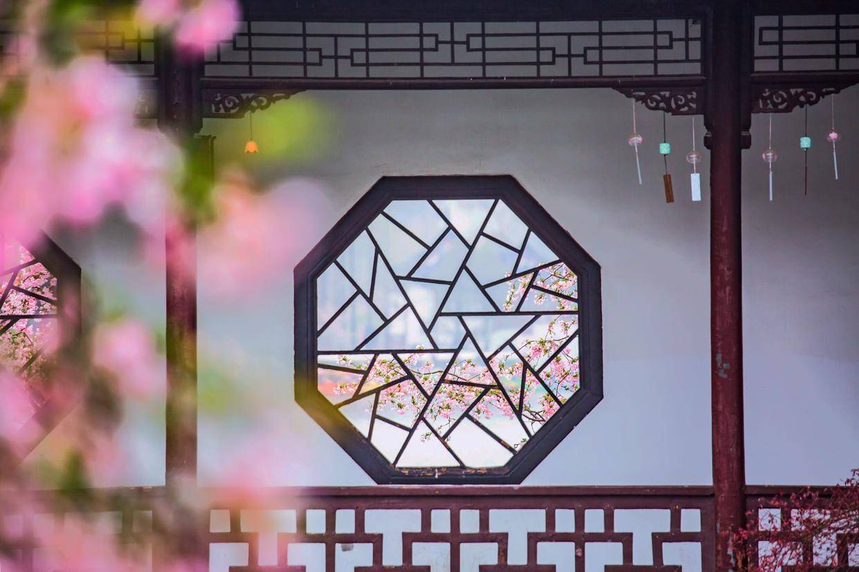 南京莫愁湖公园,"金陵四十八景"之首,春季海棠盛开景色如画_带着_园林